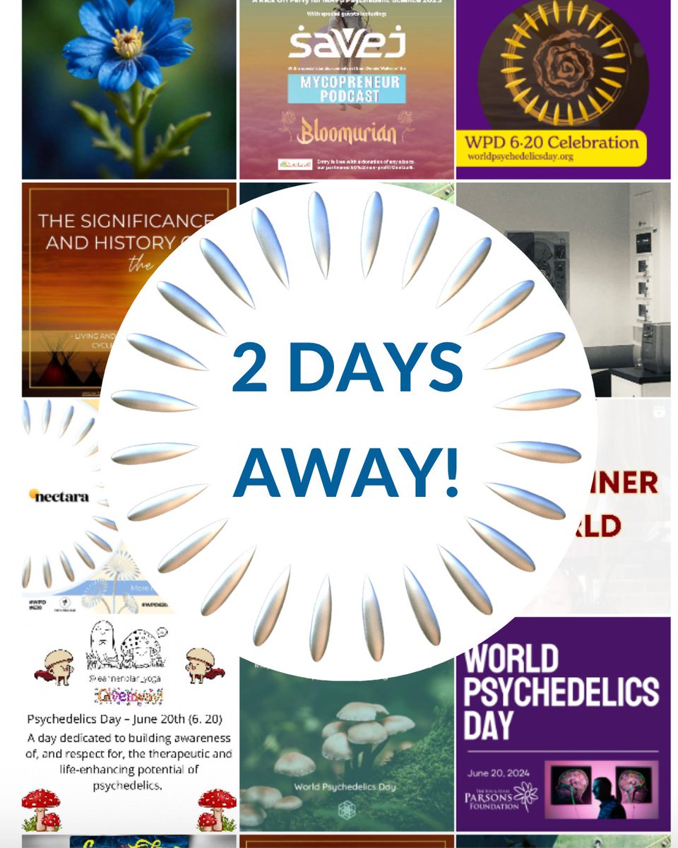 ⏳ Just 2 days until World Psychedelics Day!

Still wondering how to take part?
Get inspired by how communities around the world have celebrated WPD — from storytelling and science to ceremony and art.
Look at past WPD 620s:
worldpsychedelicsday.org/2024

#WorldPsychedelicsDay #WPD620