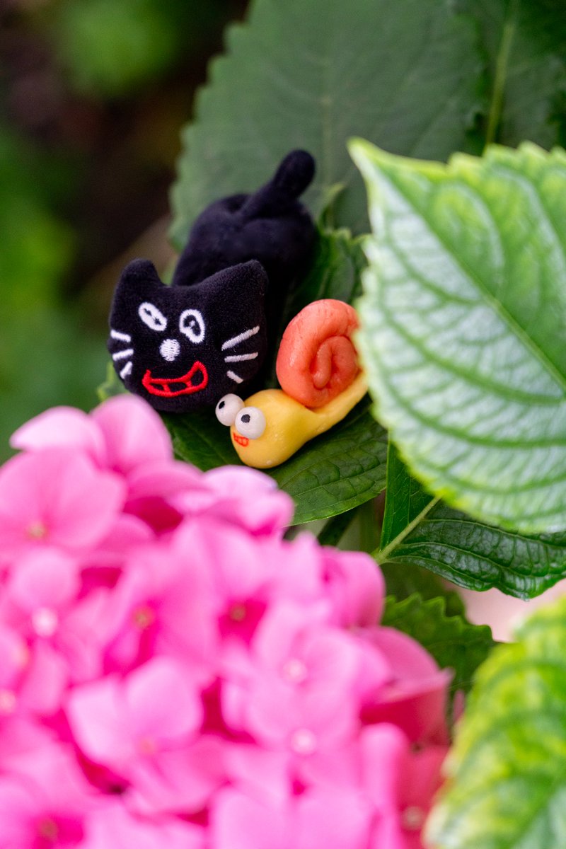 kiyo_info's tweet image. カタツムリと一緒🐌