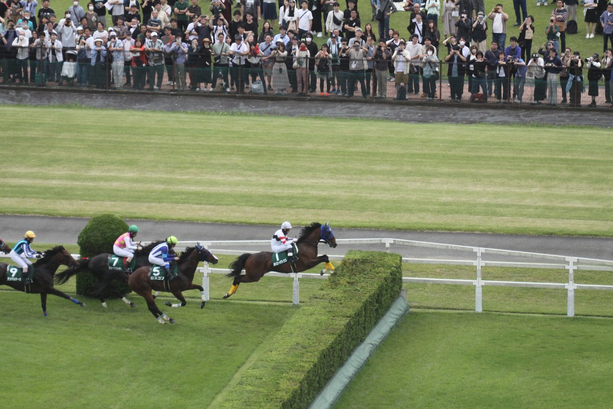 【中古】 競馬陽炎座 時代の真ん中を走れなかった馬たち/日経ラジオ社/荒井和生 競馬陽炎座 時代の真ん中を走れなかった馬たち/日経ラジオ社/荒井