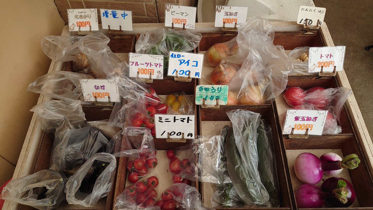 minor_farmer's tweet photo. 本日のおすすめ野菜は北アカリ（ジャガイモ）です。 https://t.co/lRkS42XB1A