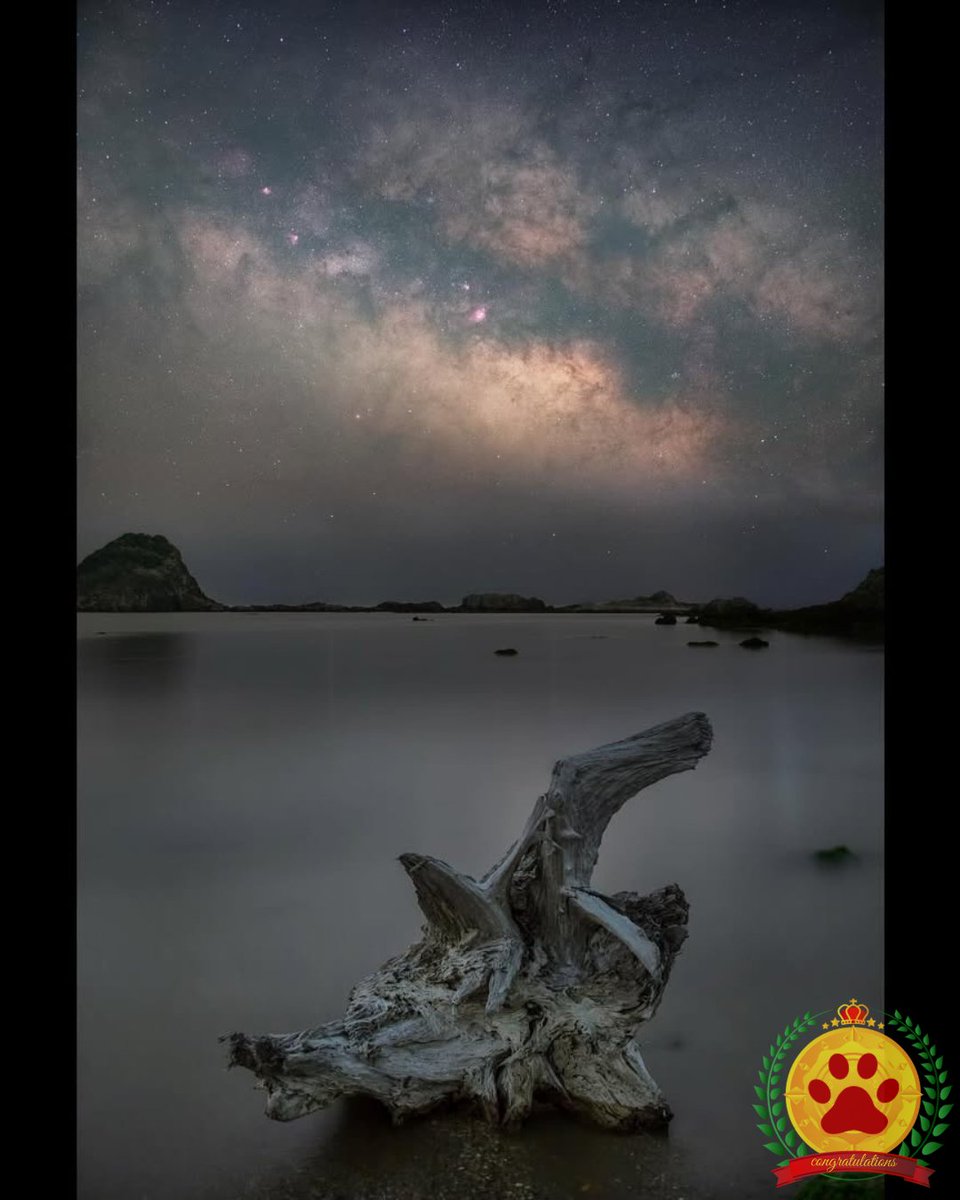 nekocafe_star's tweet image. ☔6月14日、星空gallery ⚡
『今日の1枚』より
📷photographer : toshiy.photo
instagram.com/p/DK3X8phhApn/
#猫のいる星空cafe