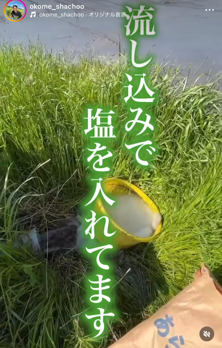 IaaIto's tweet photo. ね、ねえこれ大丈夫なの…？

無農薬農家さんが田んぼに
10aあたり75kgの塩流してるんですが https://t.co/An8KoVEapg
