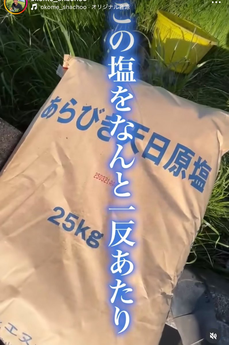 IaaIto's tweet photo. ね、ねえこれ大丈夫なの…？

無農薬農家さんが田んぼに
10aあたり75kgの塩流してるんですが https://t.co/An8KoVEapg