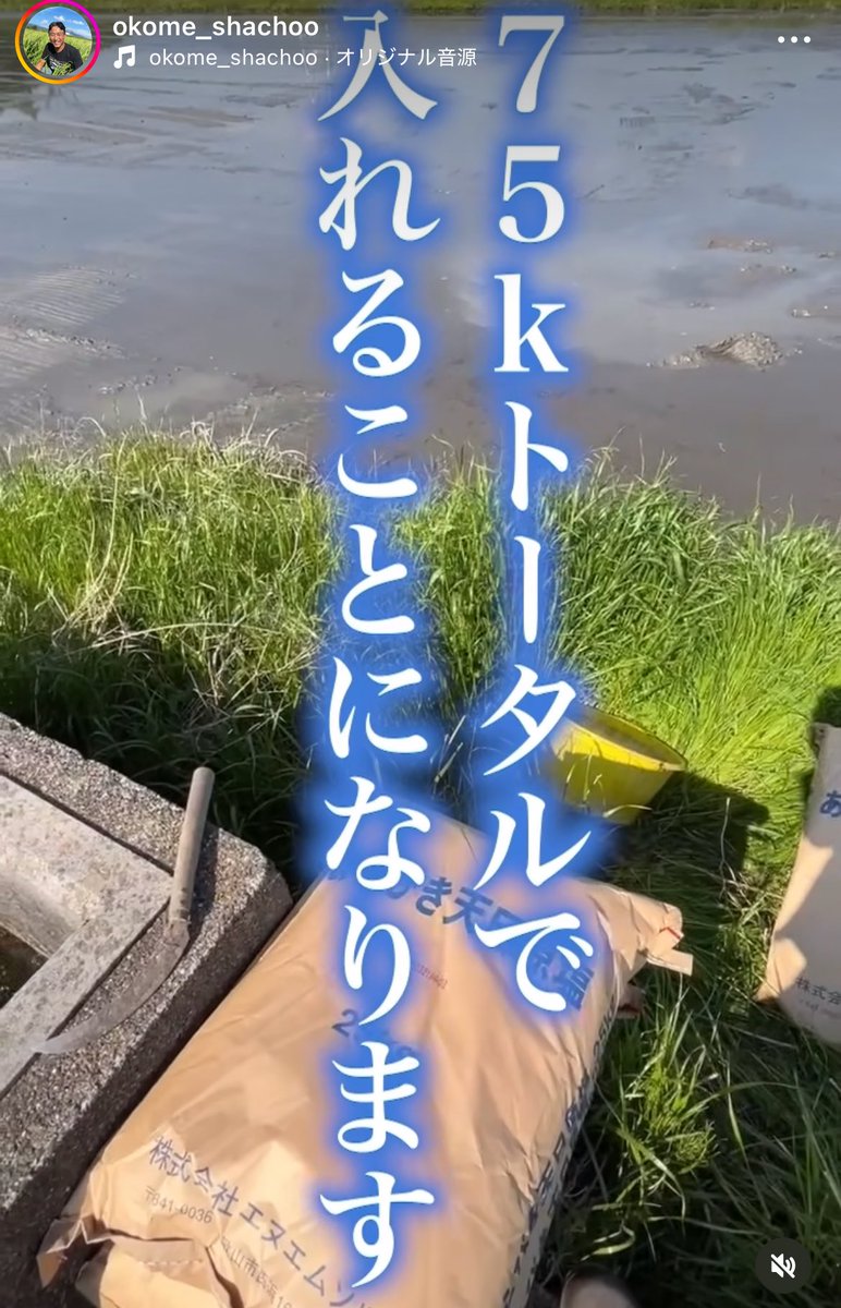 IaaIto's tweet photo. ね、ねえこれ大丈夫なの…？

無農薬農家さんが田んぼに
10aあたり75kgの塩流してるんですが https://t.co/An8KoVEapg