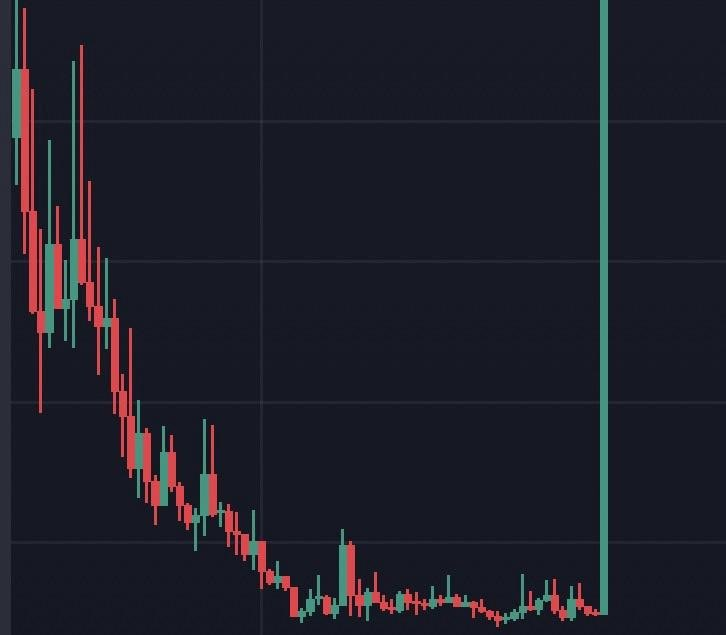GM 哪一支幣睡醒會看到這樣嗎?