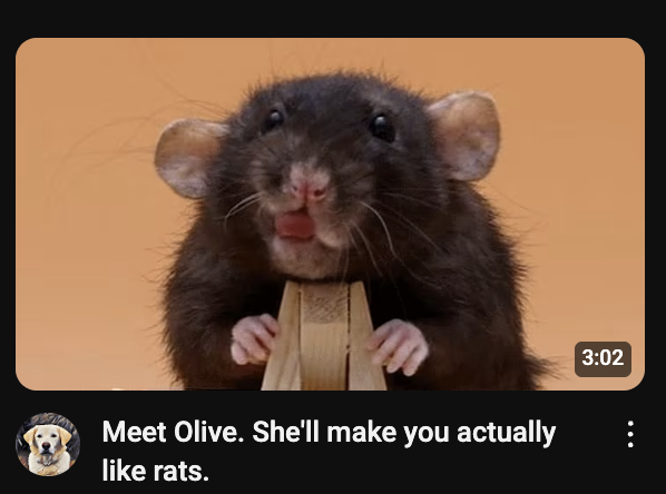 chris (@garflyf) on Twitter photo 