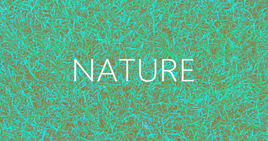 Call for Artists: “Nature 2026,” the International Exhibition
CICA 미술관 국제전 “Nature 2026” 공모
cicamuseum.com/call-for-artis…