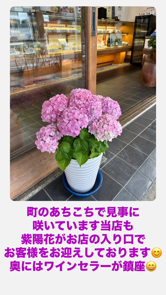 kyotoyoroken's tweet image. おはようございます😃

本日より
#三つ運まんじゅう を
店頭で販売します🩷💛🩵

通常はご予約にてお作りしている
三色の上用饅頭🩷💛🩵
お味も三色

#父の日 #ThanksDad 
に日頃の感謝と皆さまが
#食べて開運成就

ご賞味ください😊

今日も笑顔でたくさんの
お客様のご来店を
お待ちしております❣️