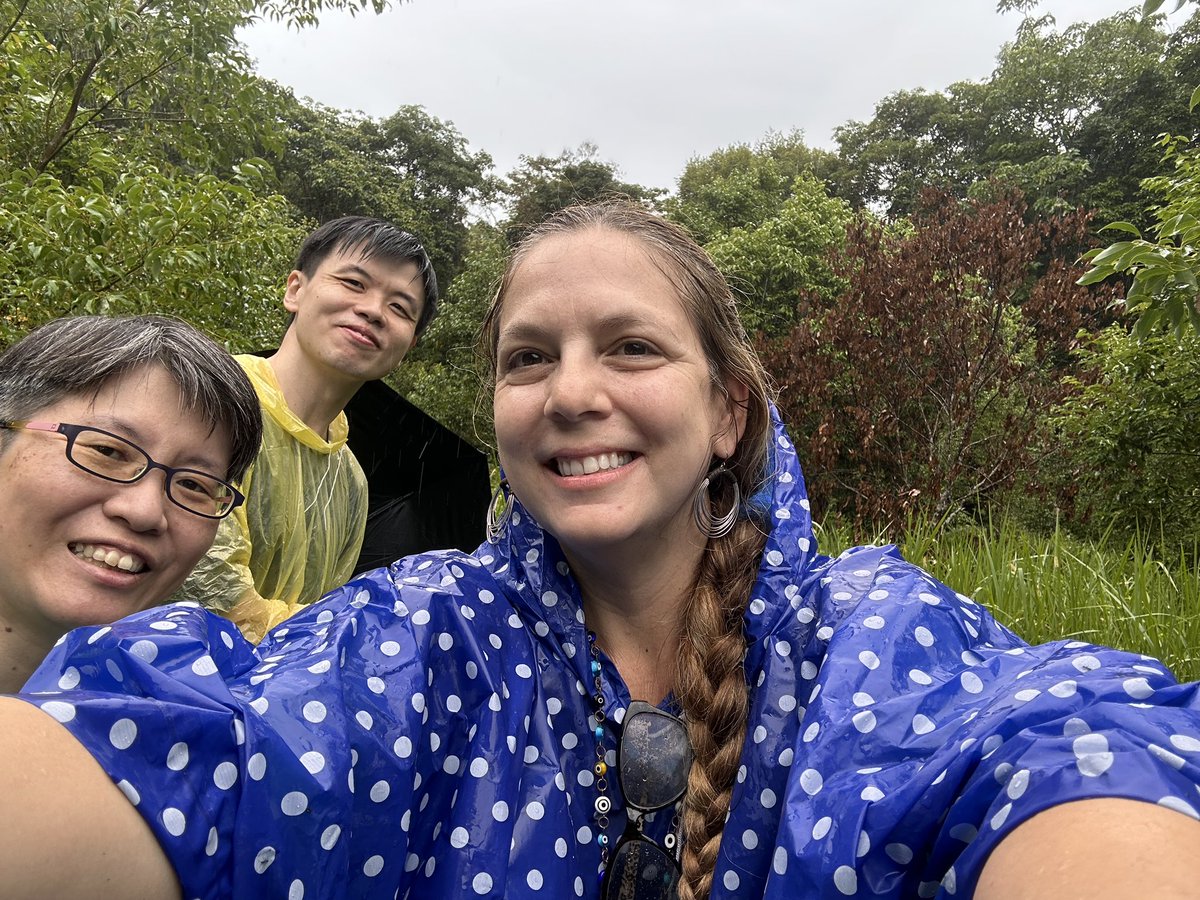 Tropical Plant Clinic & Research Lab (@clinicplant) on Twitter photo Rainy ☔️☔️☔️days, looking 🕵️♀️ for #laurelwilt and enjoying tropical fruits! #Taiwan #treehealth #planthealth
<a href="/APS_OIP/">APS Office of International Programs</a> <a href="/APS_Tropical/">APS Tropical Plant Pathology Committee</a> <a href="/UFPlantPath/">UF/IFAS Plant Pathology Department</a> <a href="/UFTropical/">UF IFAS Tropical Research and Education Center</a> Rainy ☔️☔️☔️days, looking 🕵️♀️ for #laurelwilt and enjoying tropical fruits! #Taiwan #treehealth #planthealth
<a href="/APS_OIP/">APS Office of International Programs</a> <a href="/APS_Tropical/">APS Tropical Plant Pathology Committee</a> <a href="/UFPlantPath/">UF/IFAS Plant Pathology Department</a> <a href="/UFTropical/">UF IFAS Tropical Research and Education Center</a>