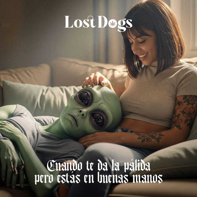 lostdogsoficial's tweet image. Así no hay falla #merch #Puertovallarta #weed 
Whatsapp: 322 110 0618 Envíos a todo México.  
wa.me/3221100618