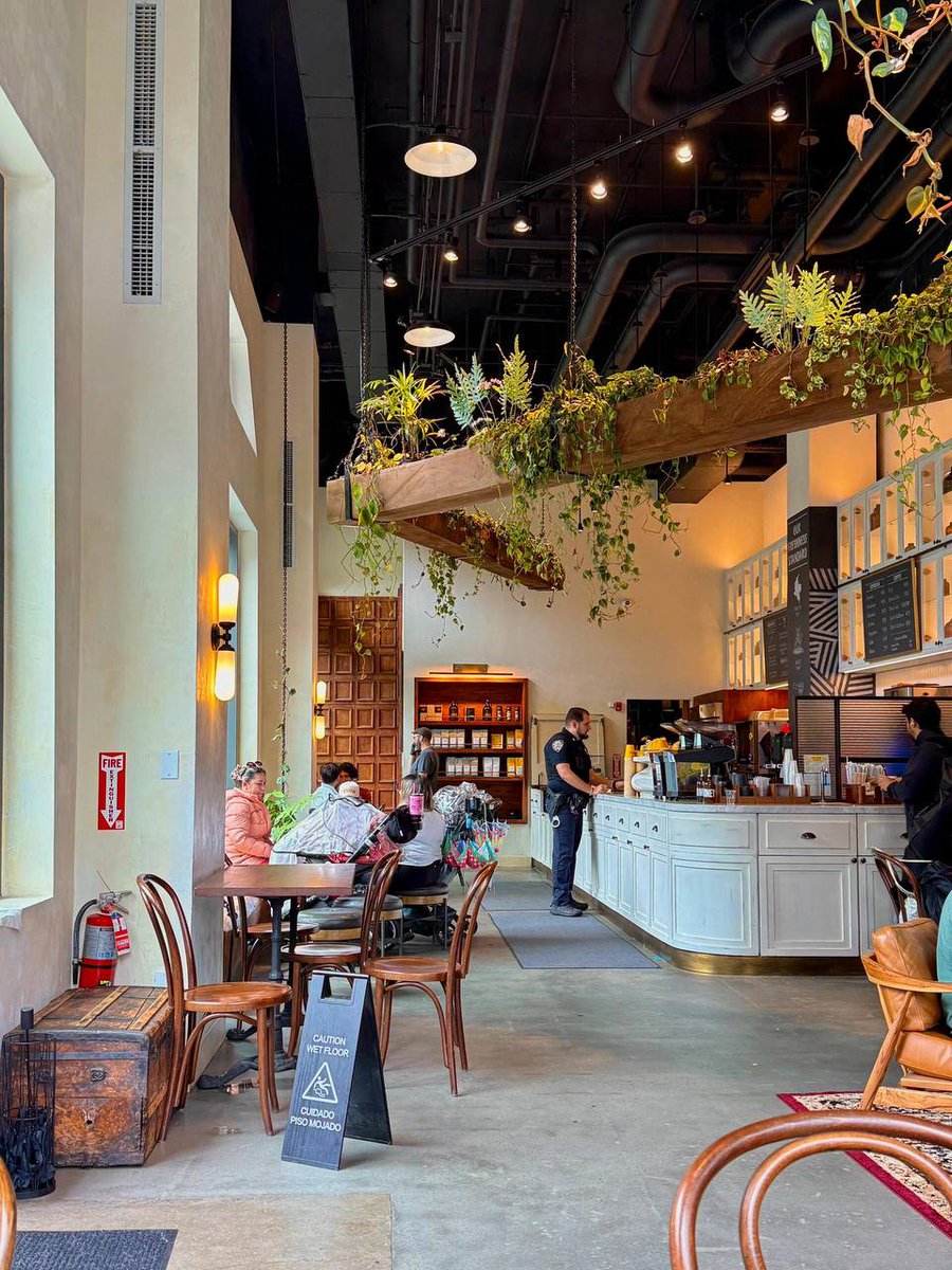 Cozy cafe with hanging plants,warm lighting,and a welcoming atmosphere.