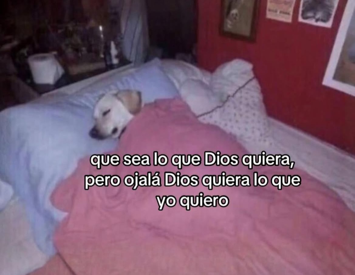 _onerolita's tweet image. 