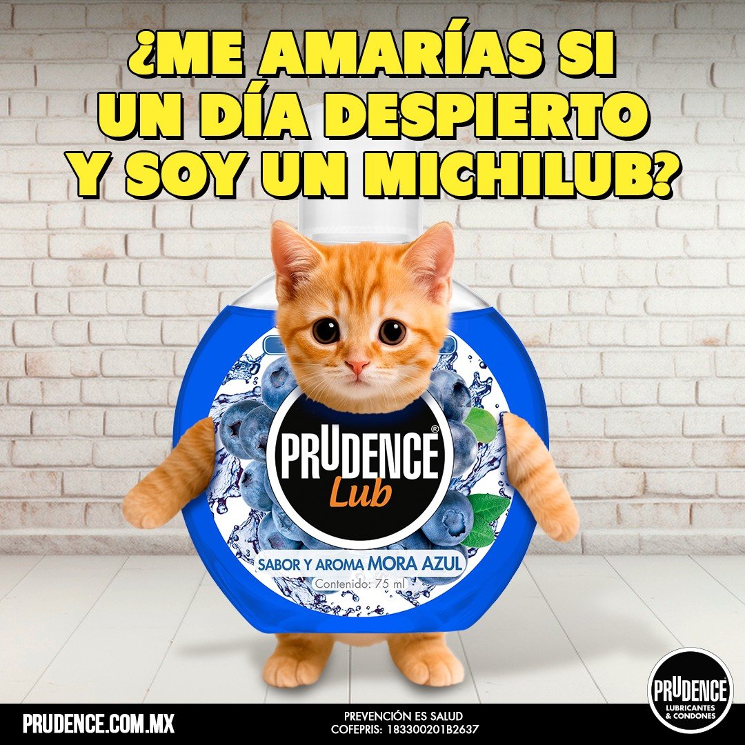 Miau, miau, miau, miauuuu. #ResbalarEsDelicioso

Encuéntralo en mi Tienda Online: bit.ly/PrudenceLubMora