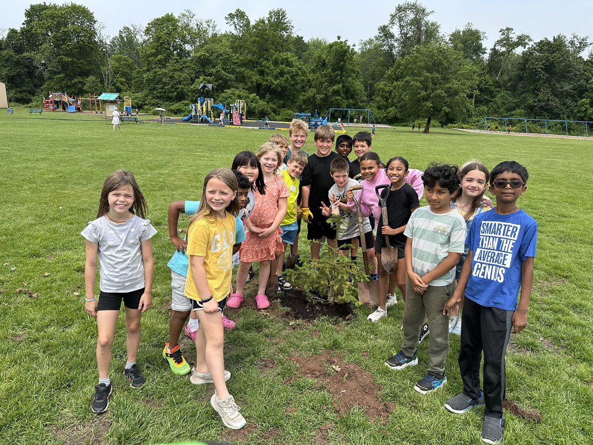 This is the second tree I cared for since I got it as a seedling. Thanks to the hard work of 3M, it now has a permanent home at BT. I look forward to seeing it grow big and tall, and bring a lot of joy to generations of BT students! #beartavernpride 🌲