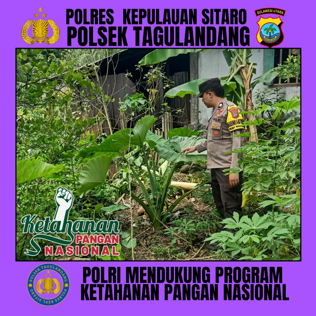 putrayws's tweet image. POLSEK TAGULANDANG POLRES KEPL SITARO MENDUKUNG PROGRAM KETAHANAN PANGAN
#astacita
#swasembadapangan
#ketahananpangan
#polirimendukungketahananpangan
#polisicintapetani
#swasembadapanganpoldasulut
#ketahananpanganpoldasulut
#ketahananpanganpolreskepulauansitaro
#poldasulut
#sulut