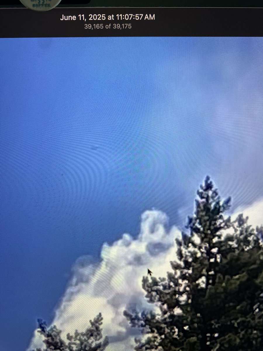 Jennifer Hotes tweet media