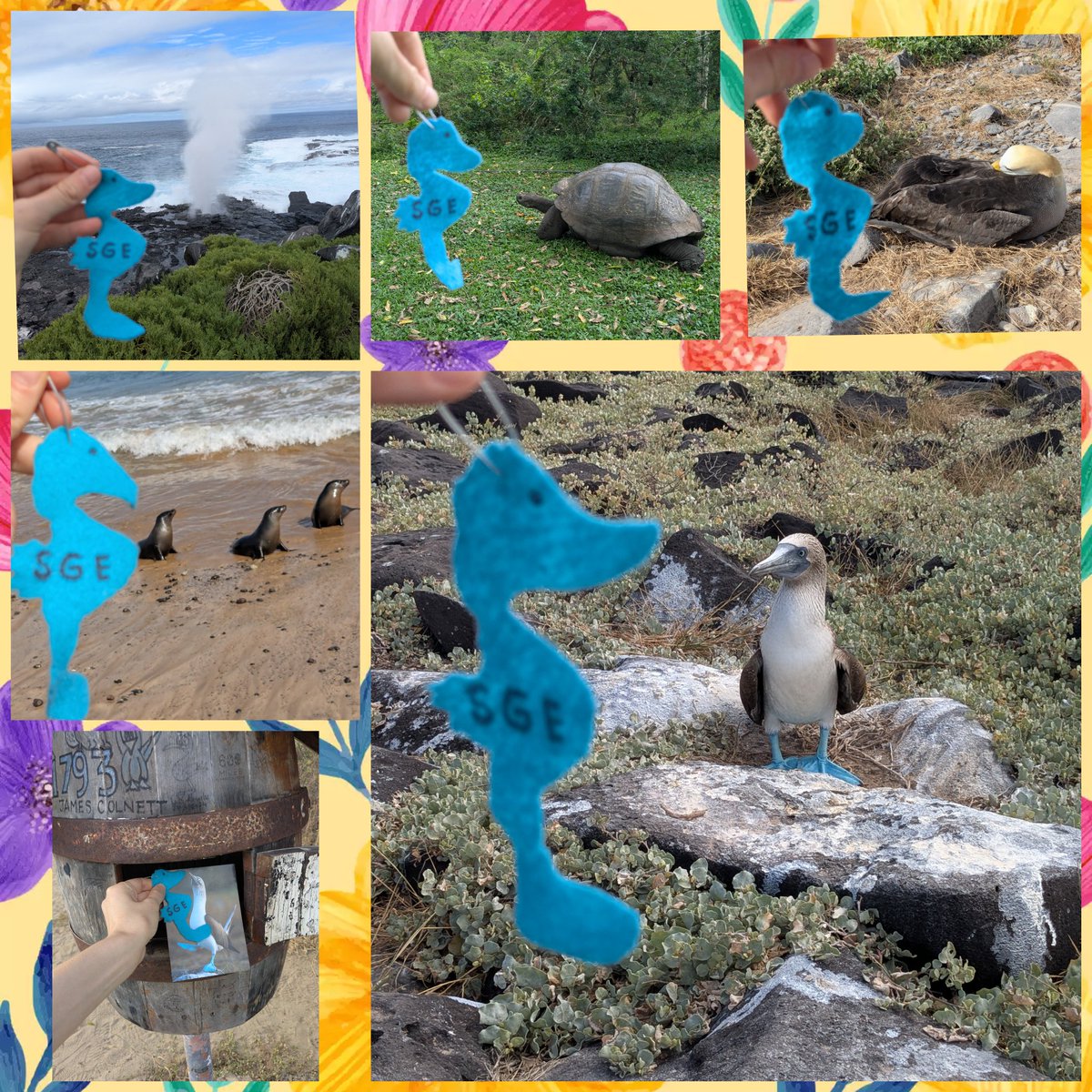 Ms.Stetson tweet media