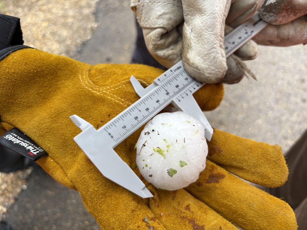 Ben Chernesky tweet media