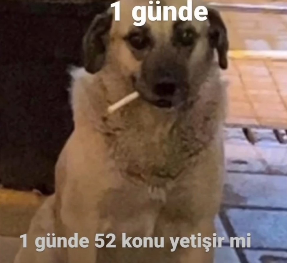 anlikmod's tweet photo. https://t.co/GDaUZjpEjC