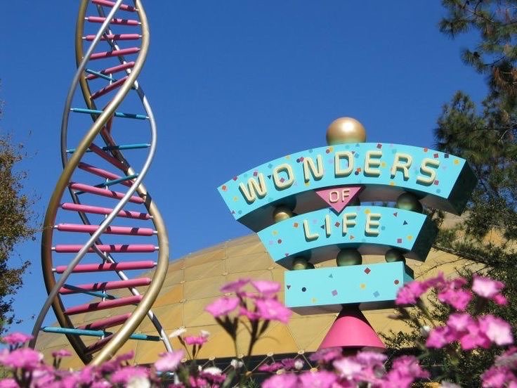 BeastCoasters's tweet image. Wonders of Life at EPCOT deserves a future. As the last of the original Future World Pavilions, it was always overlooked and a hidden gem. It's been both a storage closet and abandoned since its closure.
Wonders of Life needs to return. #AnotherChanceToWonder