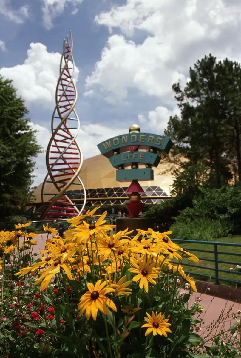BeastCoasters's tweet image. Wonders of Life at EPCOT deserves a future. As the last of the original Future World Pavilions, it was always overlooked and a hidden gem. It's been both a storage closet and abandoned since its closure.
Wonders of Life needs to return. #AnotherChanceToWonder