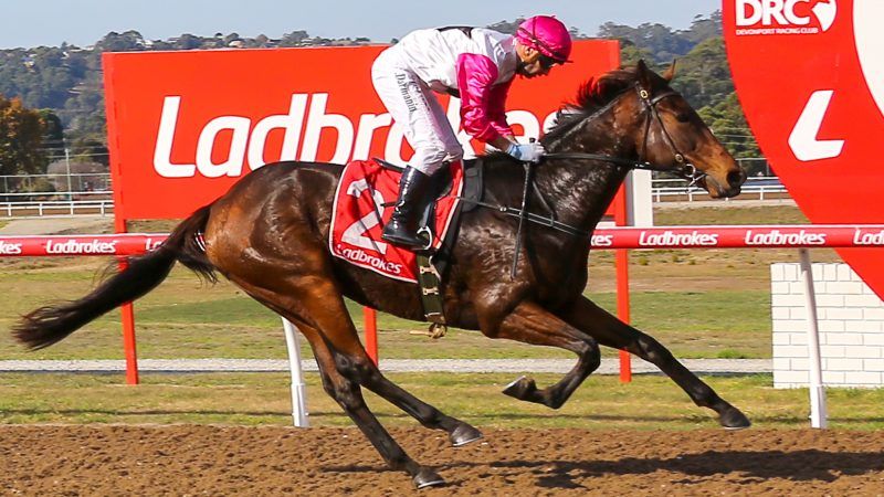 "We will tip him out after this run, whether we try to lead or go back and sprint home, I’ll leave that to Jordo.”

Trainer Glenn Stevenson has a strong team lining up in Devonport tomorrow, headed by the in-form Spring Bean - buff.ly/2knFG7m