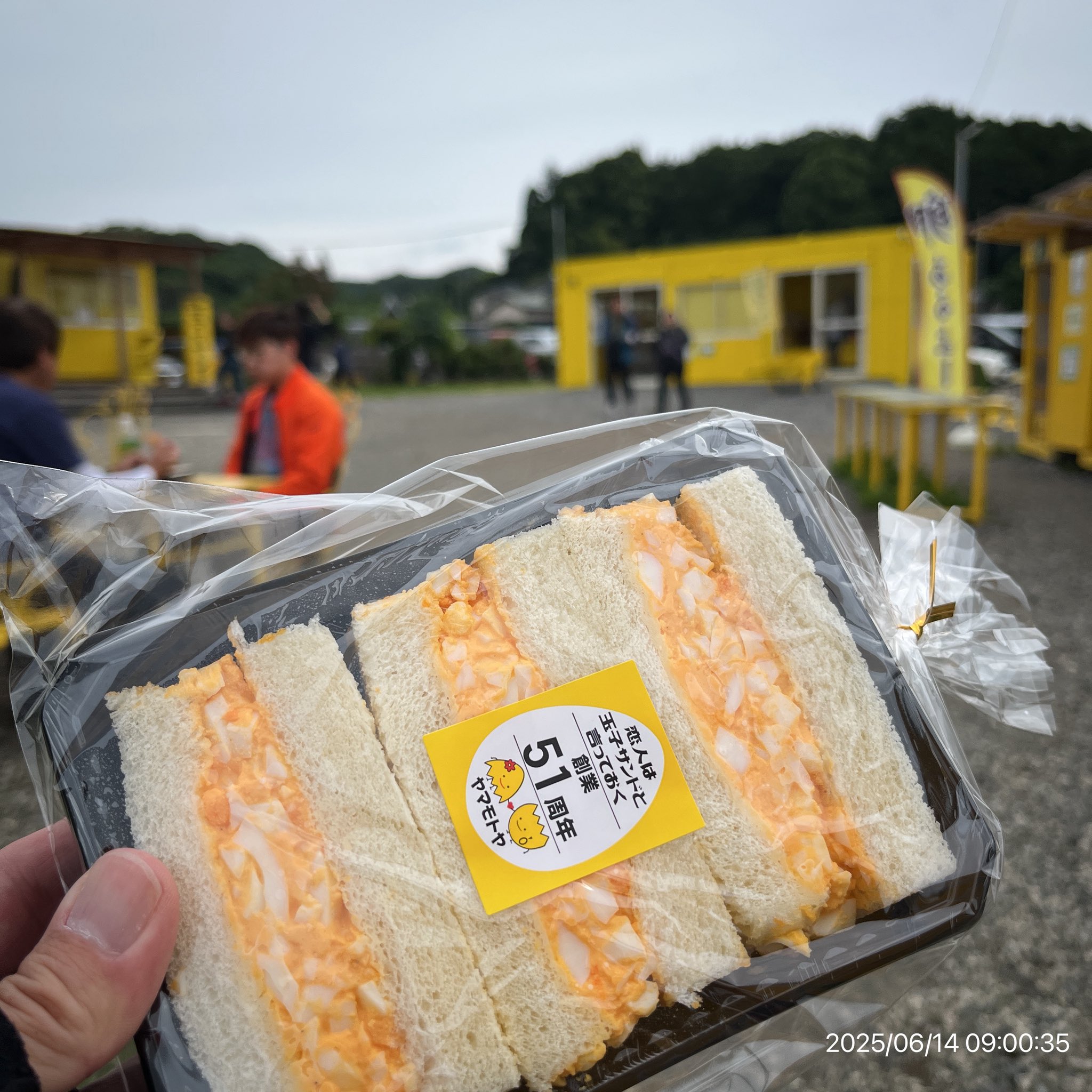 ⭐︎たまごサンド⭐︎ たまごサンド研究所 - Search / X