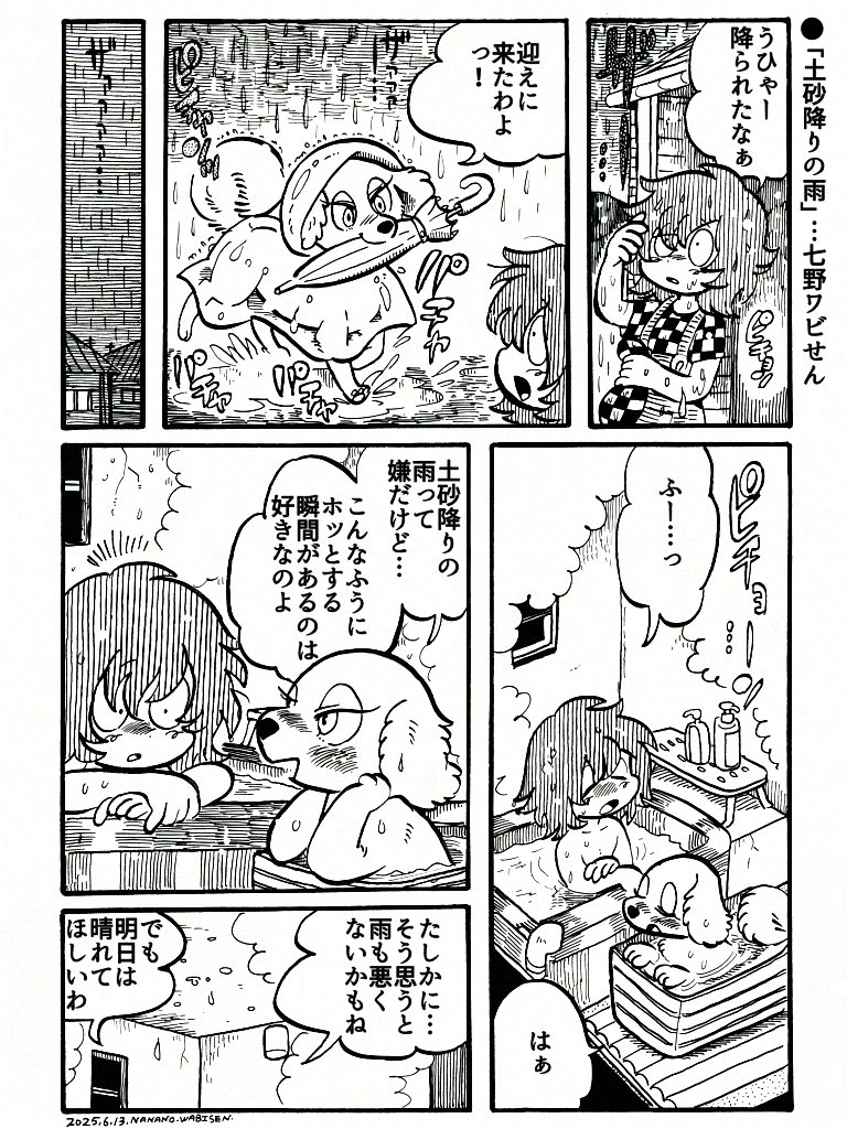 土砂降りの雨 