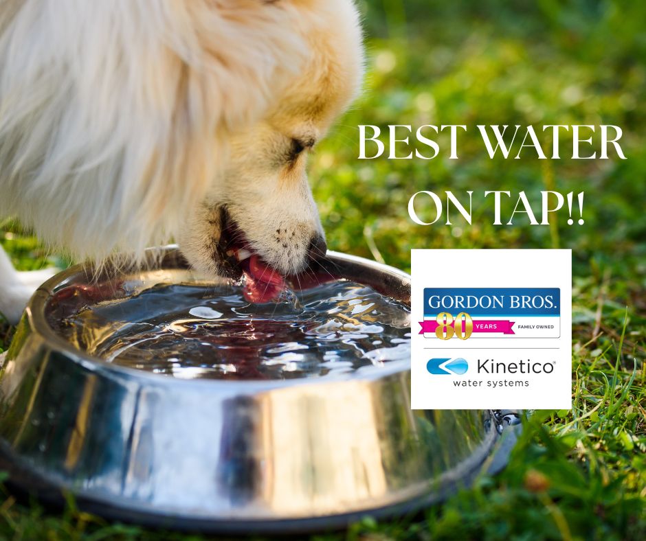 Enjoy the #BestWaterOnTap! #GordonBros has been serving up the #BestWaterOnTap for over 80 years. Explore our #WaterTreatmentSolutions and #WaterTreatmentServices here - gordonbroswater.com

#localwatertreatment #localwaterpurification #kinetico #kineticowater #watersofteners