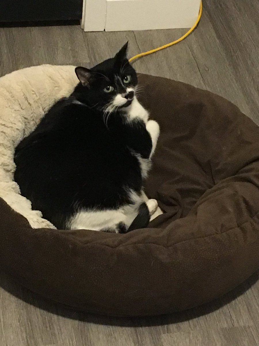 Today I lost my oldest friend.. 17 years together that I thought would never end… 💔