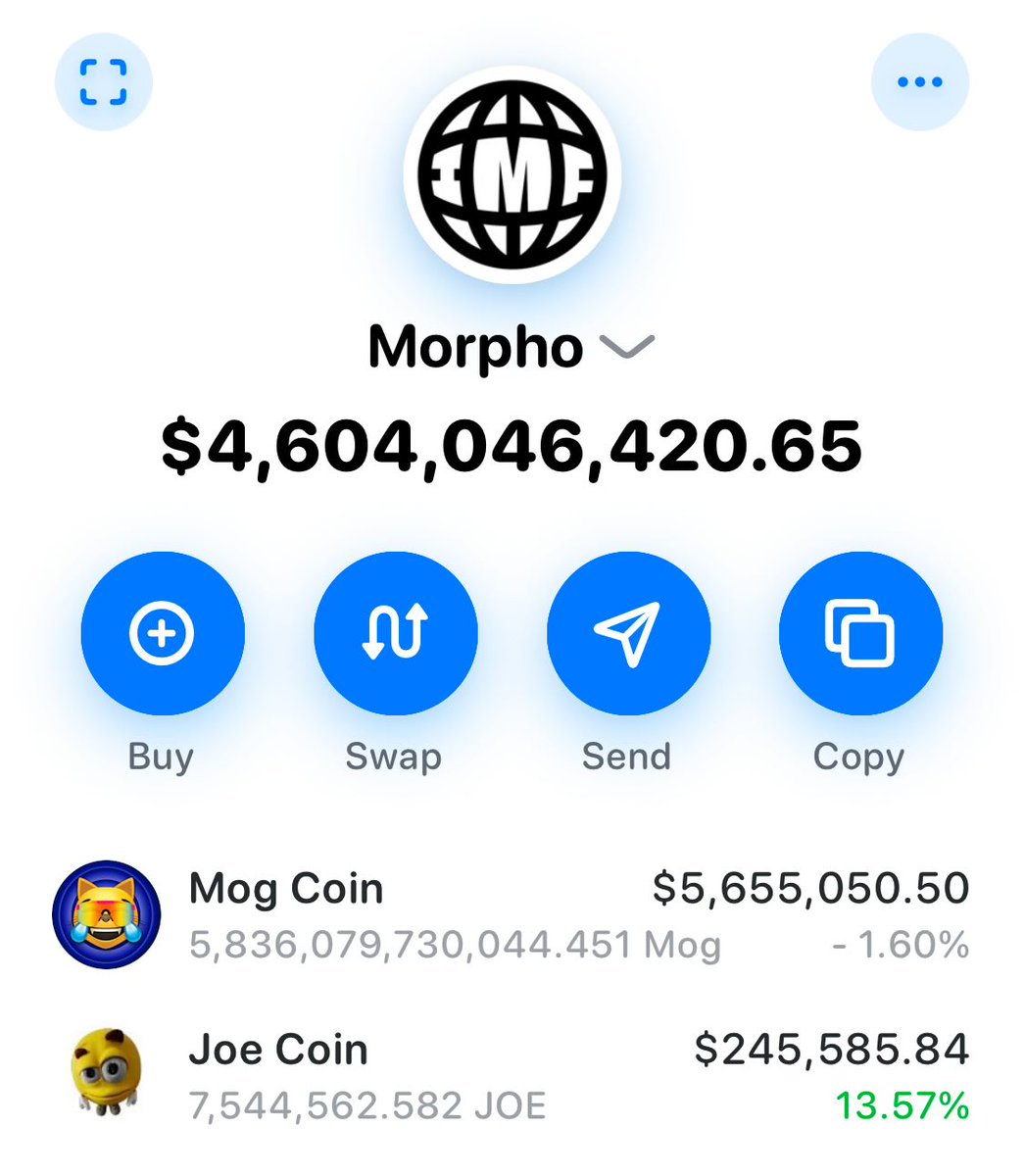 IMF now #5 holder of $MOG and #20 holder of $JOE. Just the beginning 💸