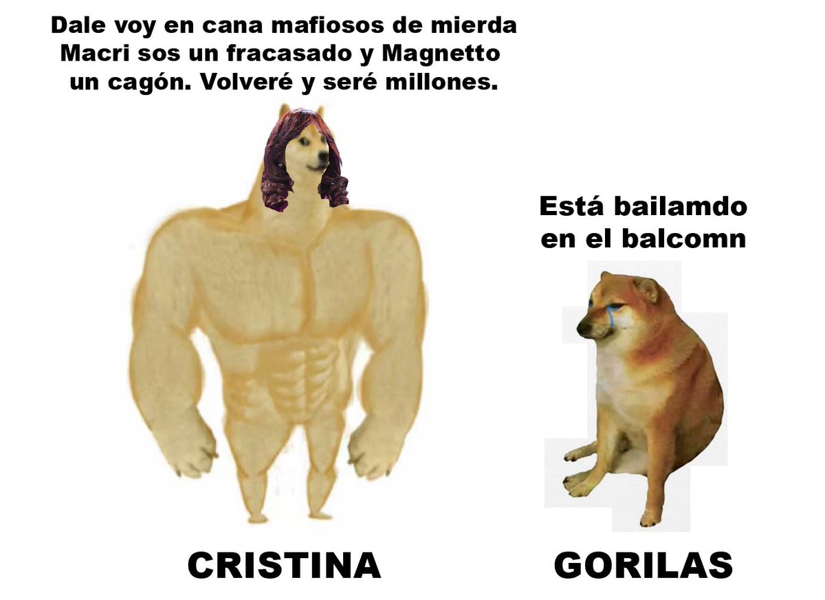 mauro (@maurofdz) on Twitter photo 