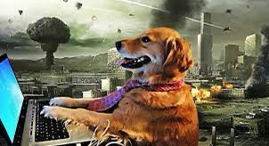 Cada día somos más este perrito: