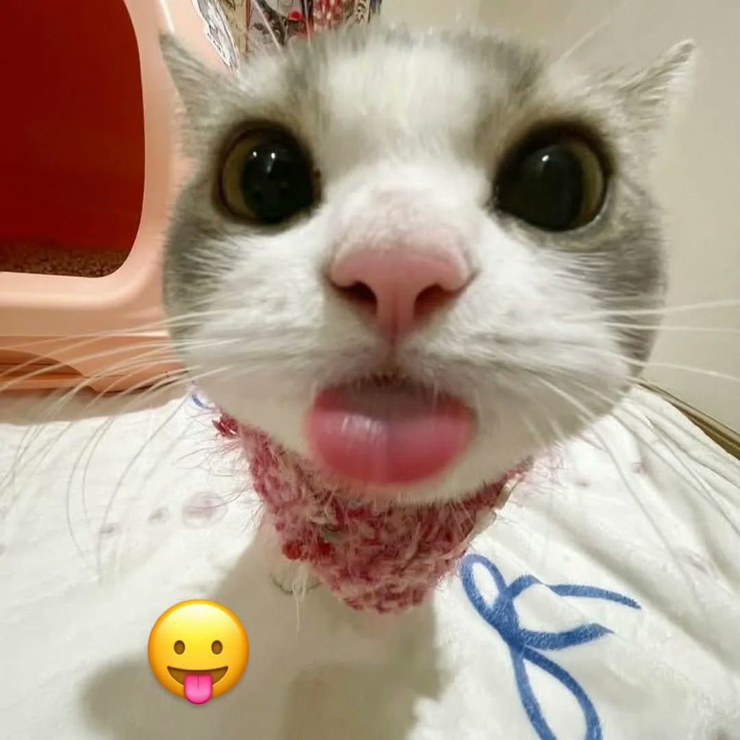 live now! mario party with friends :)

twitch // jensvoid