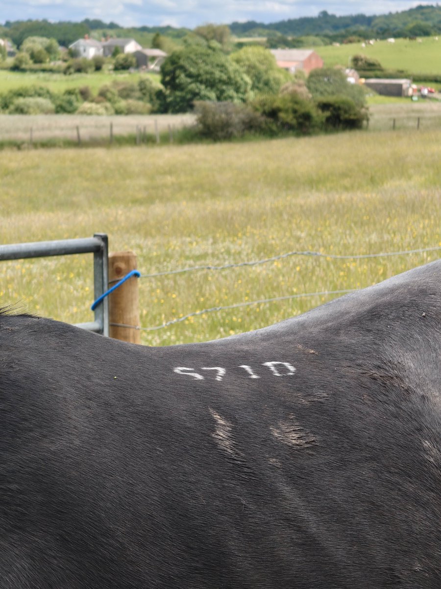 jayꙮ (@eyes8atelier) on Twitter photo 