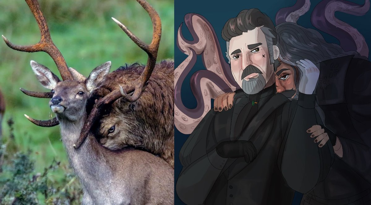 Biblical accurate edizzy 
#edizzy #ofmd