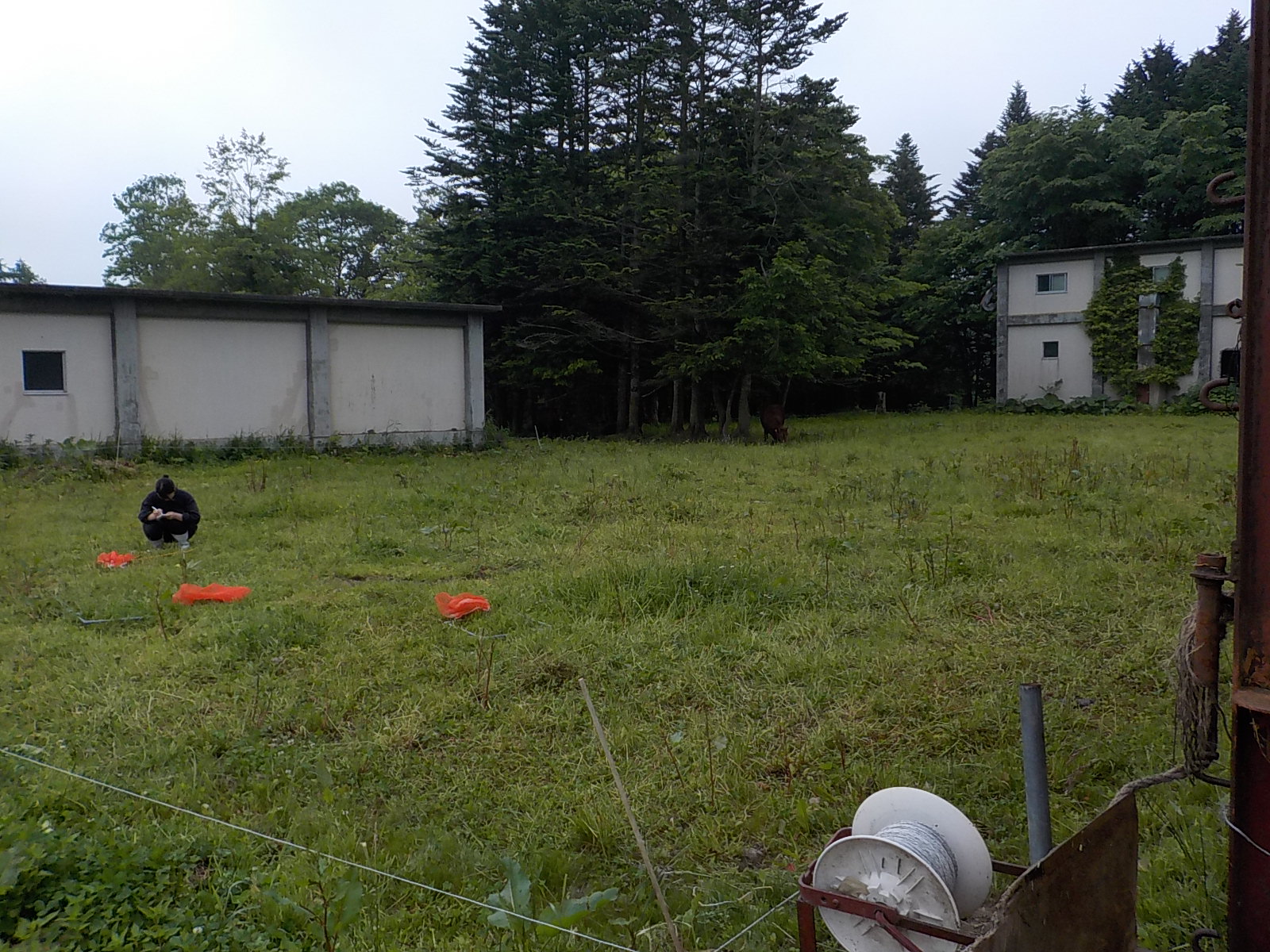 北里大学獣医学部附属フィールドサイエンスセンター八雲牧場 on