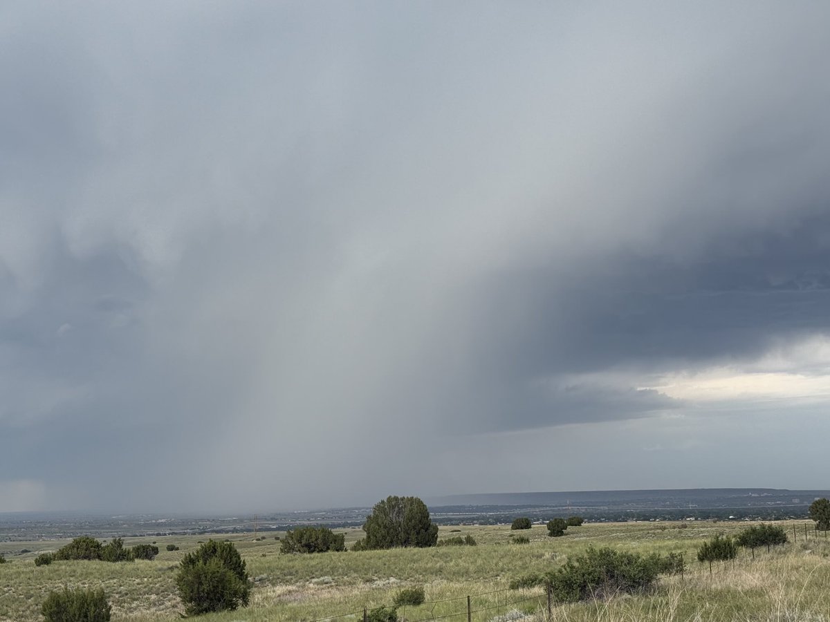 Greg Gaffney tweet media