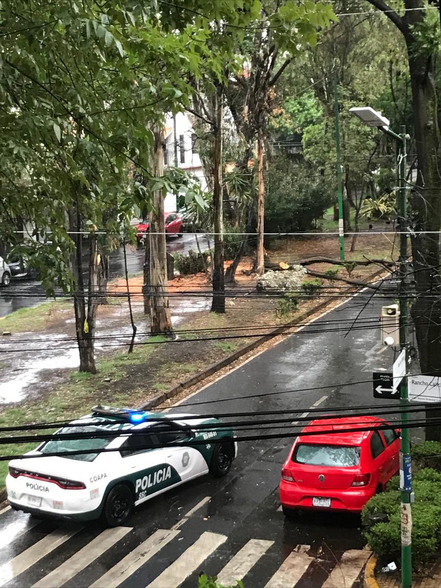 CiudadanosActivosR (@ciudactivos) on Twitter photo Circulación cerrada en Rancho Piomo y Liorna por árboles caídos. Eviten esta zona si quieren usarla de atajo entre Miramontes y División del Nte. Esto es col NvaOtalCoapa <a href="/TlalpanAl/">Alcaldía Tlalpan</a> <a href="/SGIRPC_CDMX/">Secretaría de Gestión Integral de Riesgos y PC</a> <a href="/OVIALCDMX/">OVIAL_SSCCDMX</a> <a href="/NoticiasImagen/">Imagen Información</a> <a href="/ImagenTVMex/">Imagen Televisión</a> Circulación cerrada en Rancho Piomo y Liorna por árboles caídos. Eviten esta zona si quieren usarla de atajo entre Miramontes y División del Nte. Esto es col NvaOtalCoapa <a href="/TlalpanAl/">Alcaldía Tlalpan</a> <a href="/SGIRPC_CDMX/">Secretaría de Gestión Integral de Riesgos y PC</a> <a href="/OVIALCDMX/">OVIAL_SSCCDMX</a> <a href="/NoticiasImagen/">Imagen Información</a> <a href="/ImagenTVMex/">Imagen Televisión</a>
