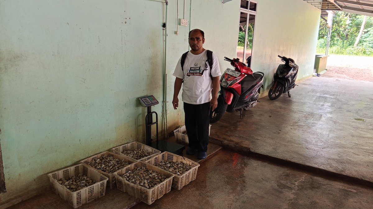 Pangsan Sibungsu Harahap tweet media