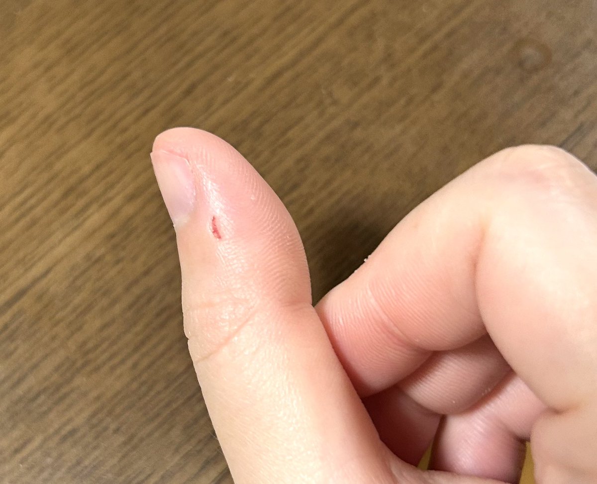 今朝のマメルリハ会心の一撃🤛