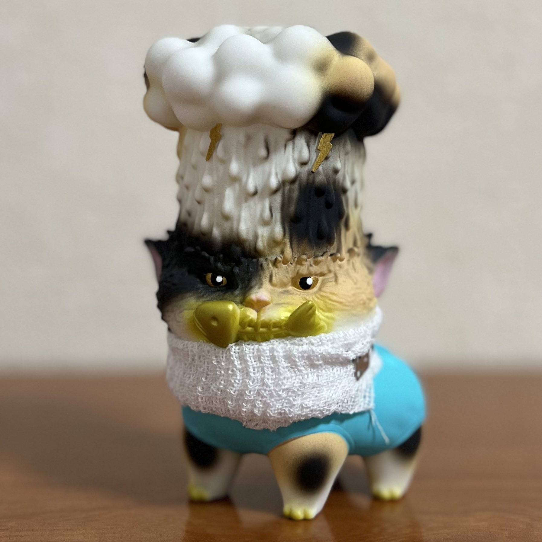 術後どしゃぶり三毛猫 (怒り)　墓場の画廊　もうこやま IMGP8671.jpg