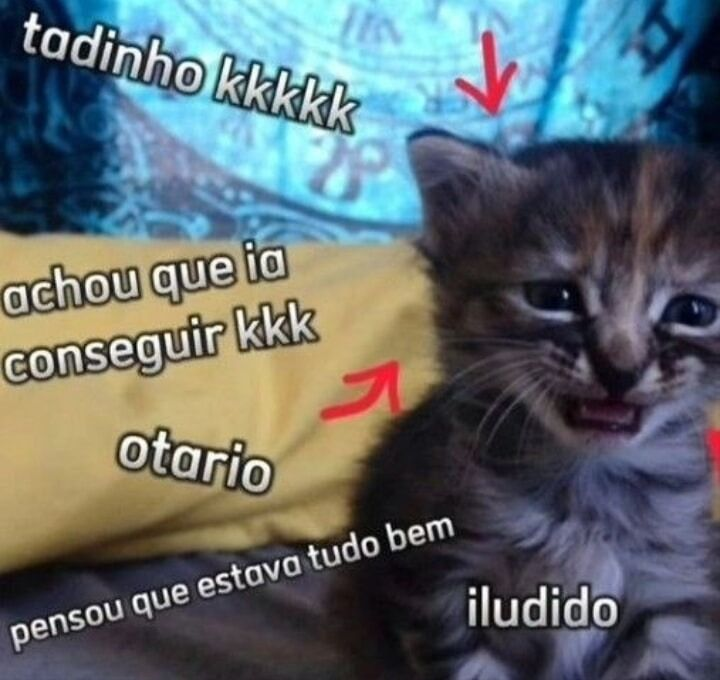 odeiootaco's tweet photo. https://t.co/2DaVuGIEJN