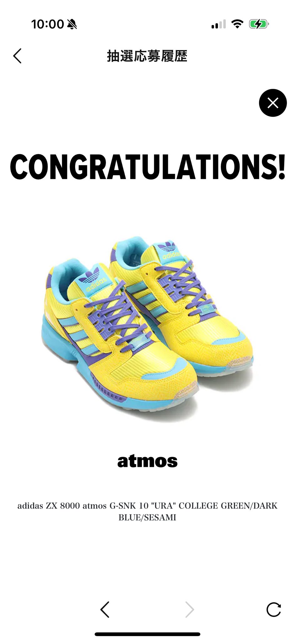 atmos × adidas Originals ZX8000 