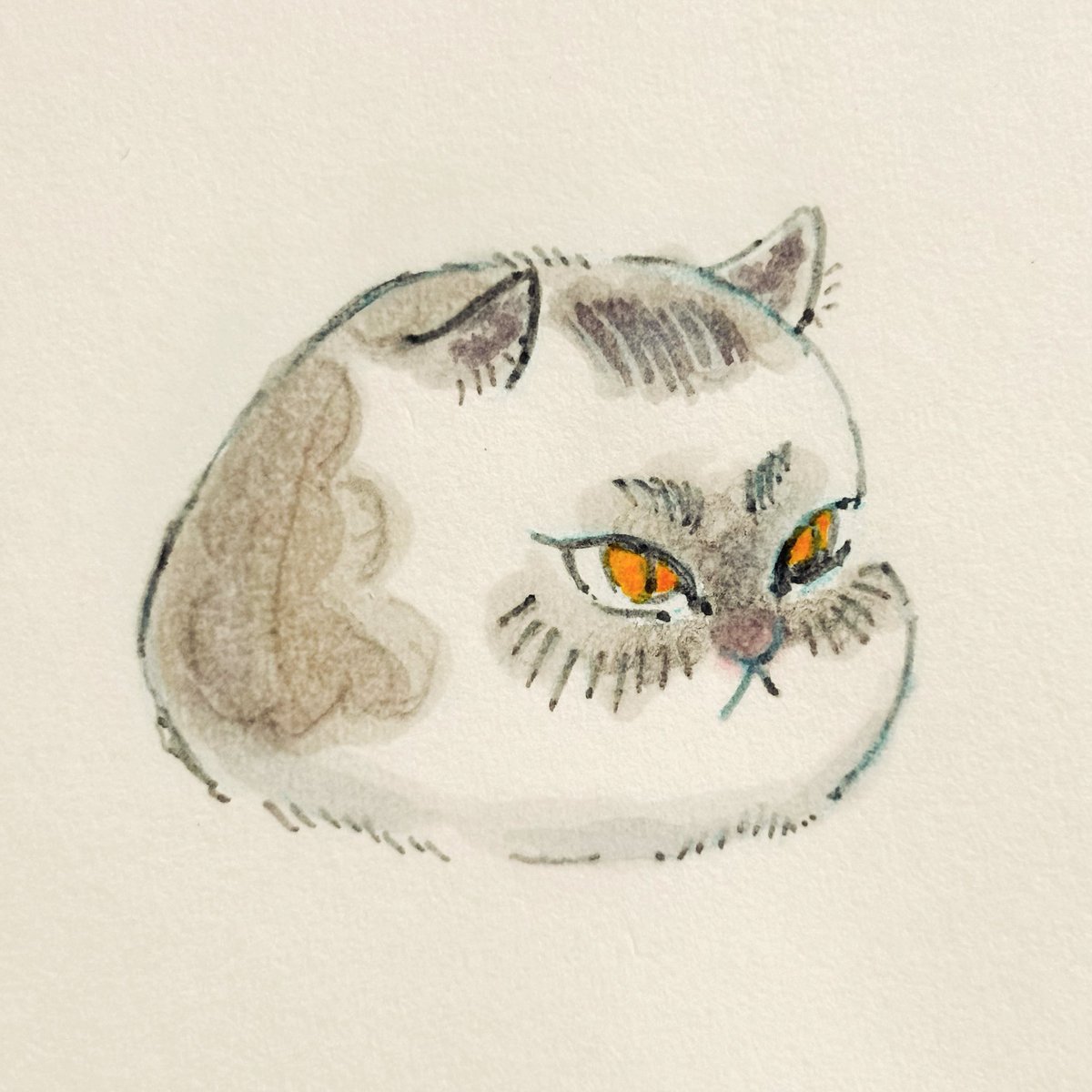 chuundoo's tweet photo. 🐈 

#cat #illustration #drawing #ねこ #猫 #図　#絵画 https://t.co/WDZ8znmN5X