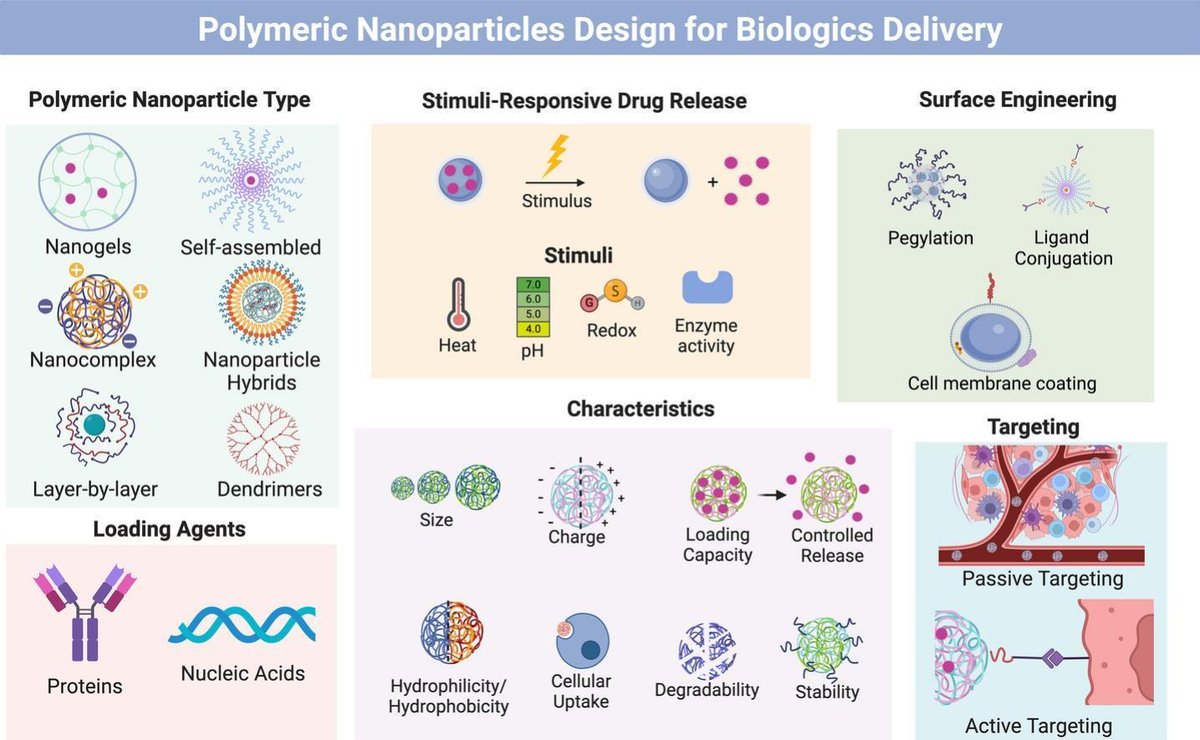 JCRnEDITORS's tweet photo. Advanced rational design of polymeric nanoparticles for the controlled delivery of biologics.
| Nicholas A. Peppas @UTBiomedical | @NPeppas
[50 days' free access]
#hydrogel  #LayerByLayer 
https://t.co/8IK2zl6InF https://t.co/RUre7YDJ3x
