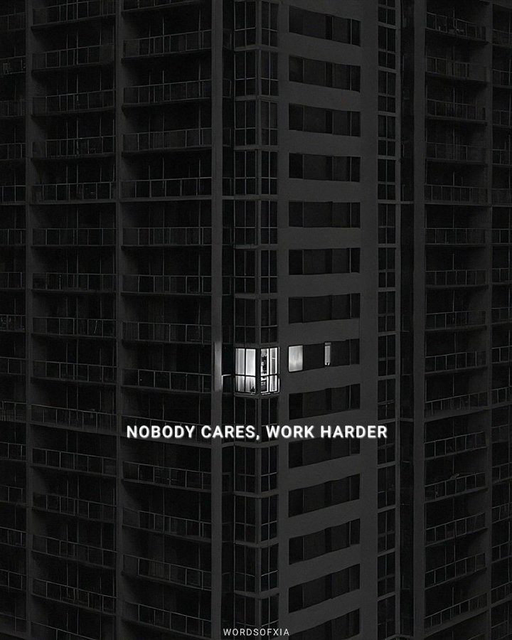 lynk0x's tweet image. 