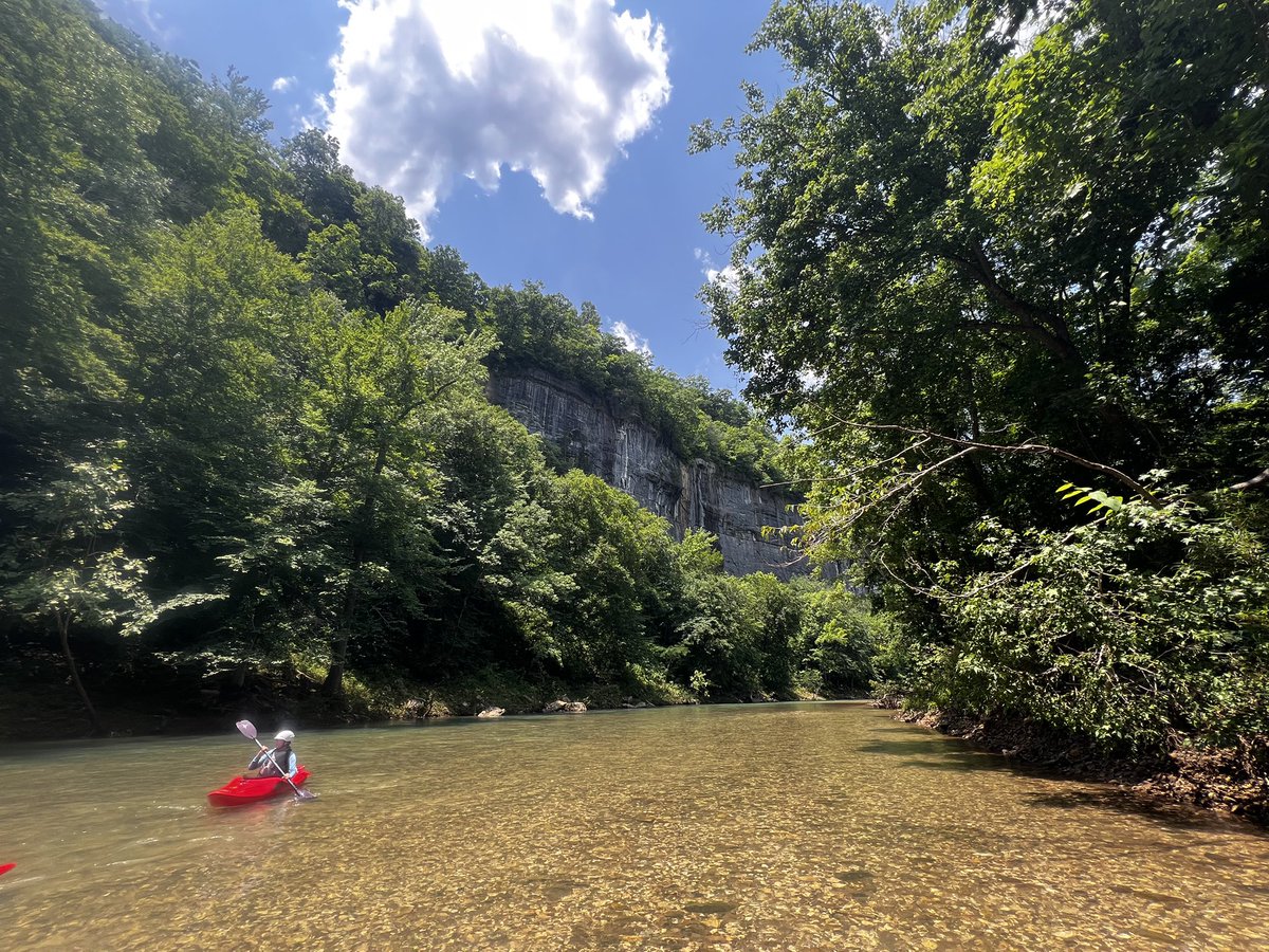 Kennedy Ellis tweet media