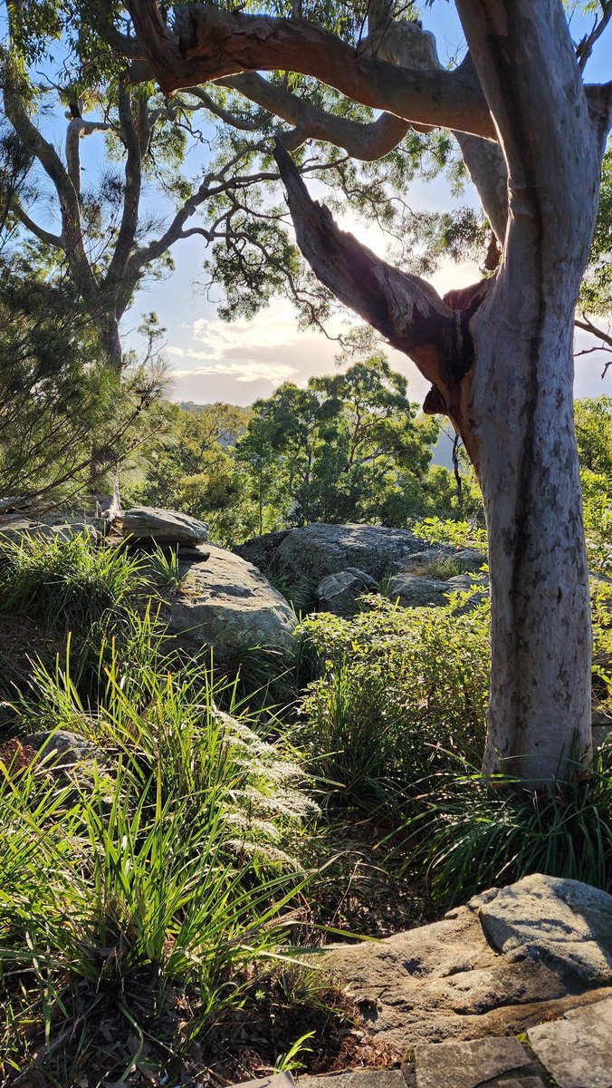 James McQuade tweet media