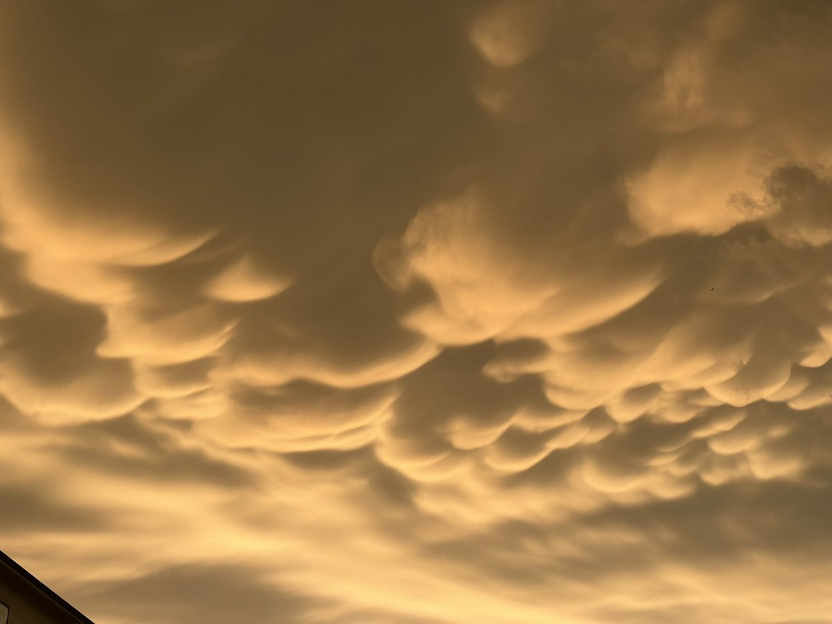 Gorgeous golden mammatus in College Station, TX! #txwx